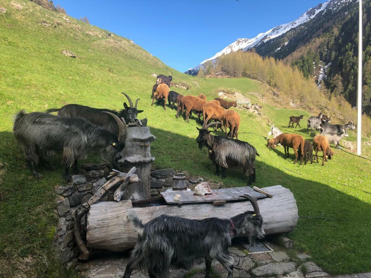 Ferienwohnung Granbichlhof Sölden Exterior foto